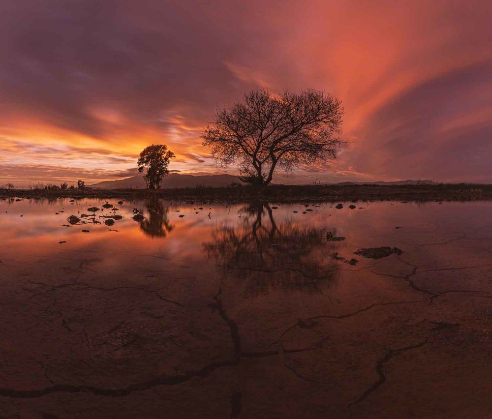 Photograph by Lluís Esteve Reverte Rosello
