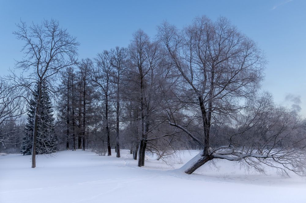 Photograph by Ольга Михайлова
