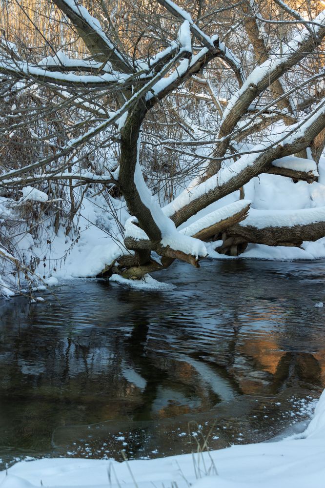 Photograph by Nastya Perekhodkina