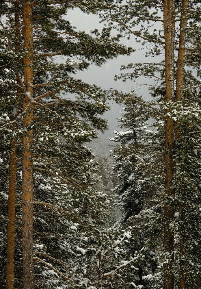 Photograph by Волынкин Арсен