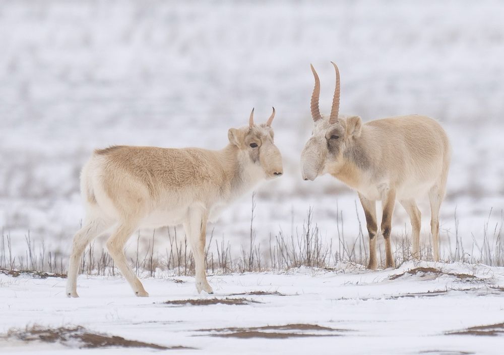 Photograph by Владимир Цветов