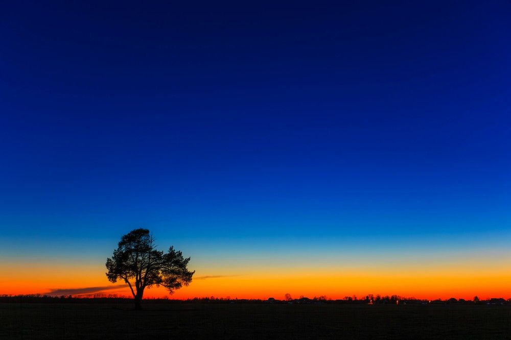 Photograph by Александр Литвинов