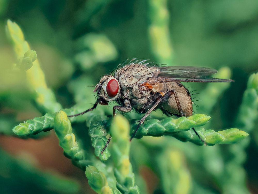 Photograph by Протченко Ирина