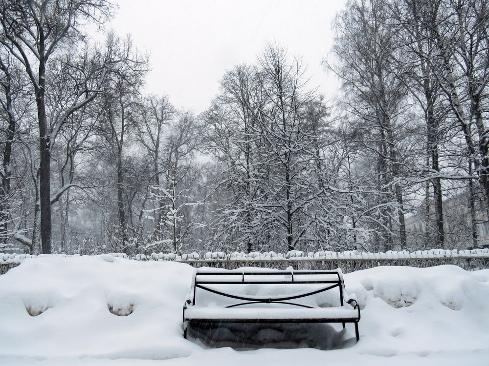 Snowy bench in the park