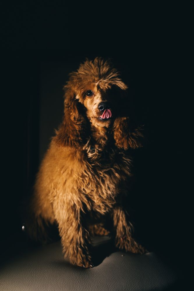 Photograph by Екатерина Андриянова