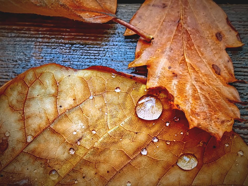 Photograph by Владимир Каюков