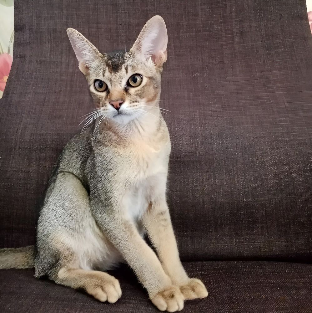 Photograph by Елена Сухорученкова