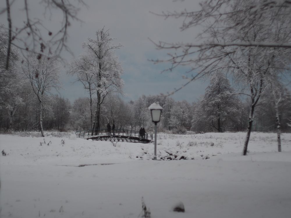 зимний парк. г.Опочка