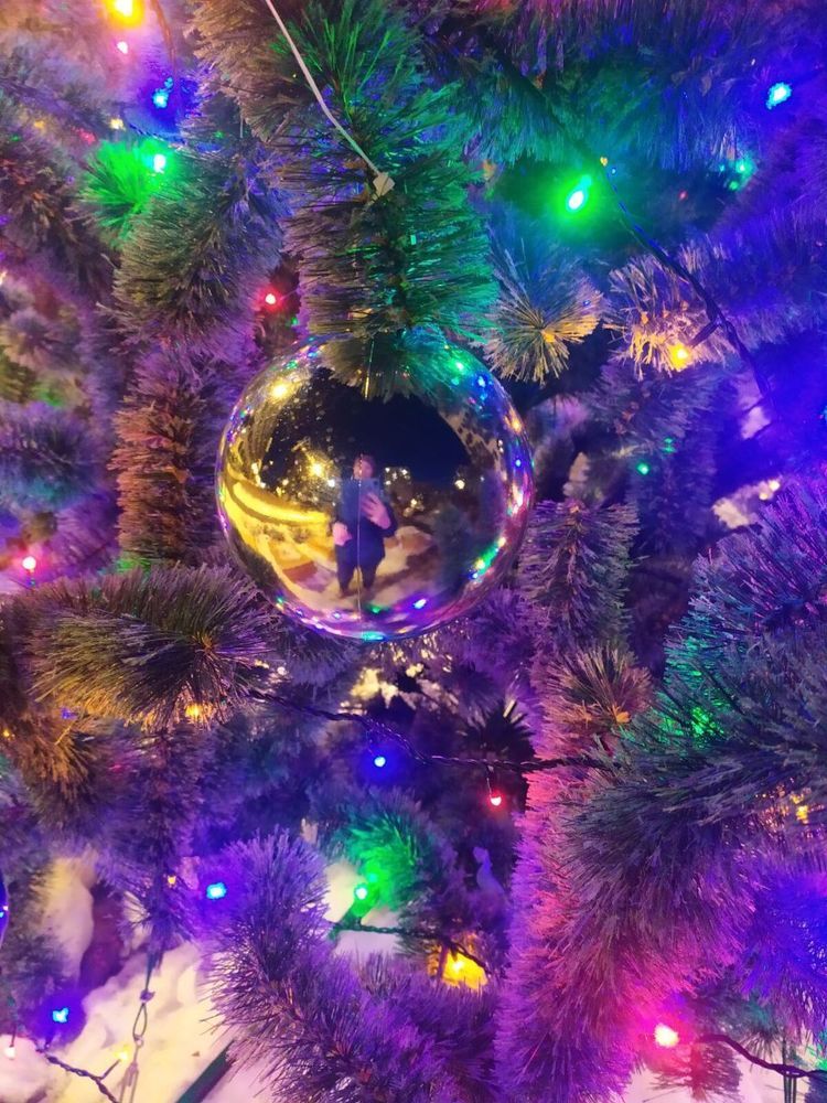 Фотография автора Анастасия Демина