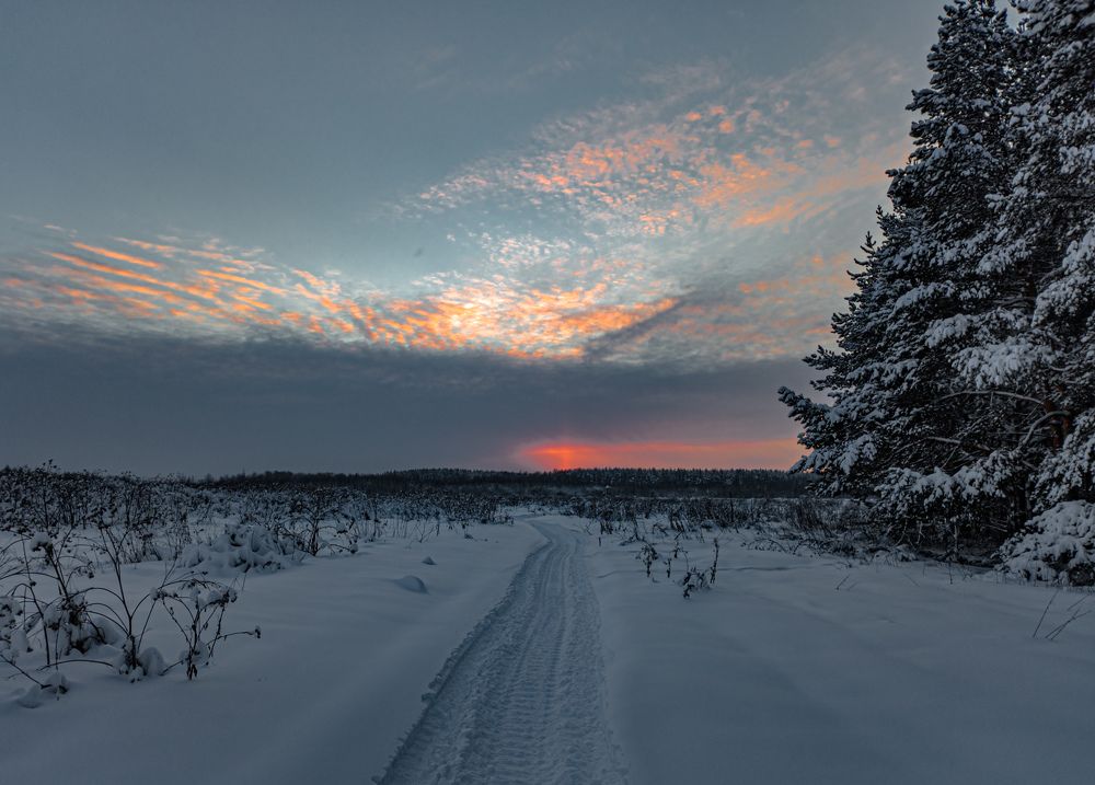 Фотография автора Швайко Михаил