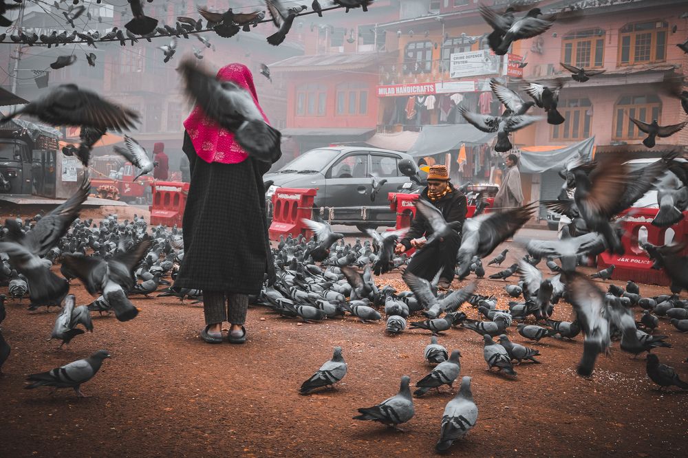 They all have wings where are mine?