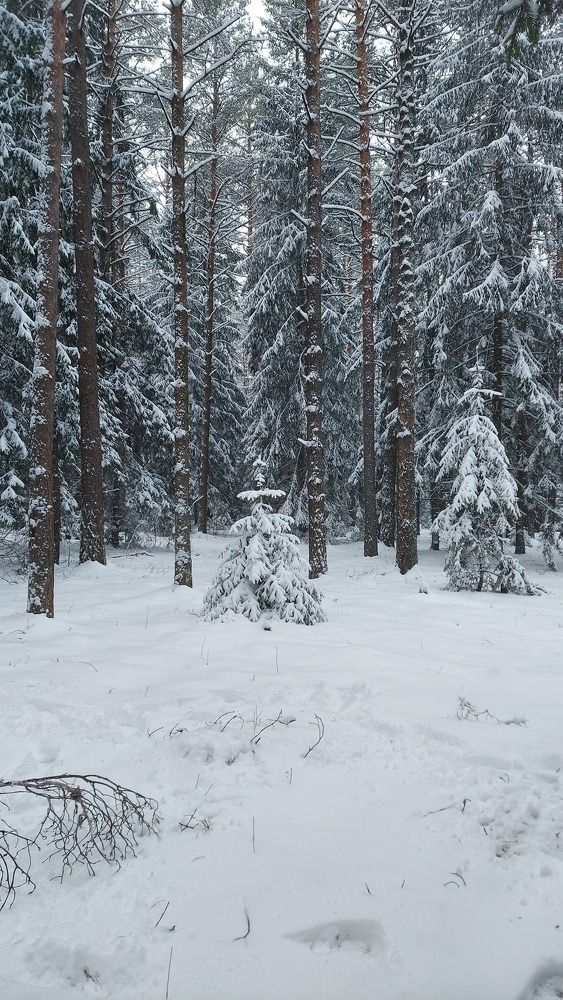 Фотография автора Оксана