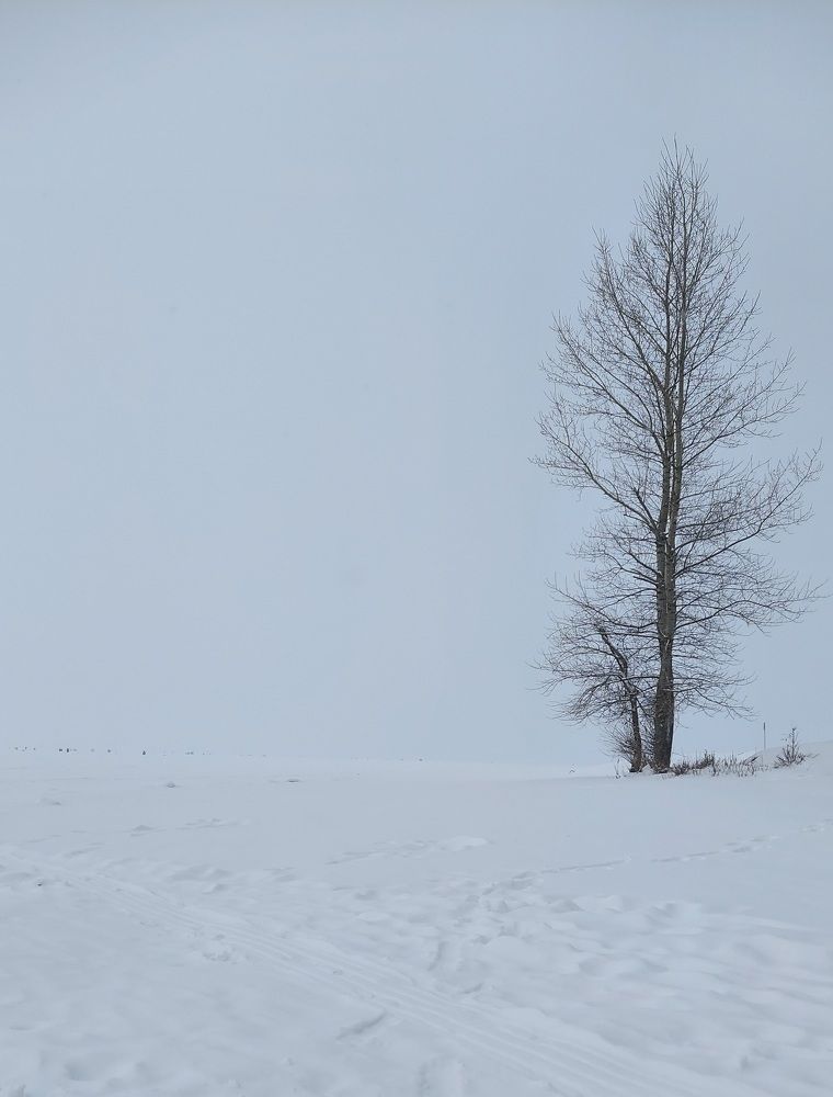 Фотография автора Оксана
