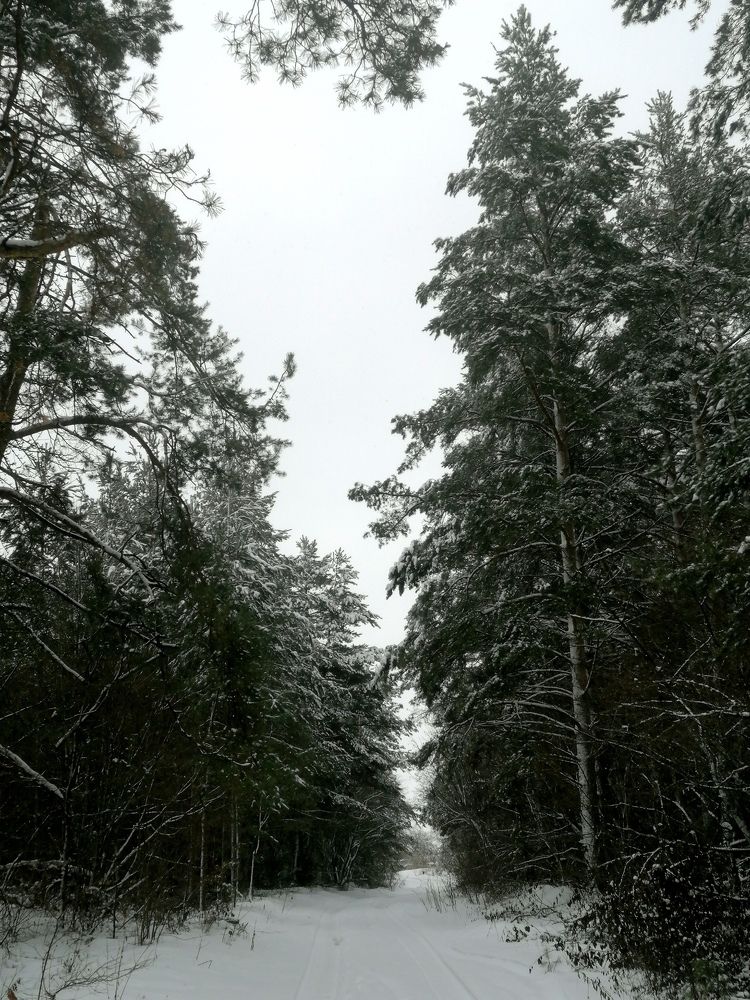 Photograph by Юлія Гацко