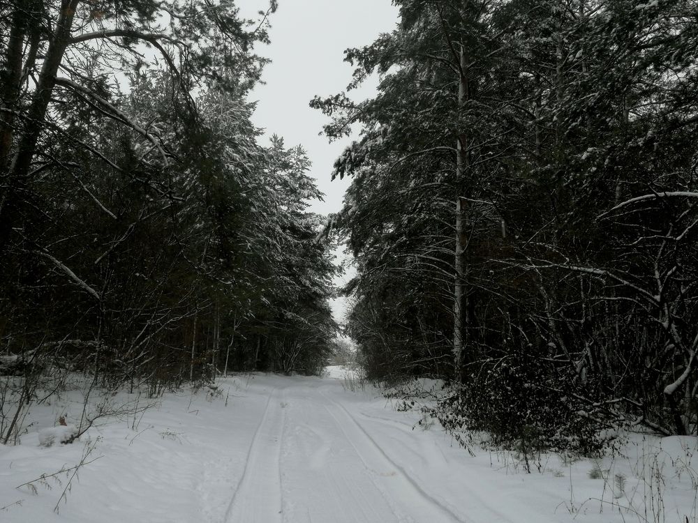 Photograph by Юлія Гацко