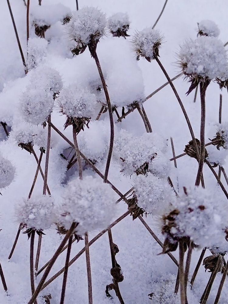 Photograph by Наталья Назаренко