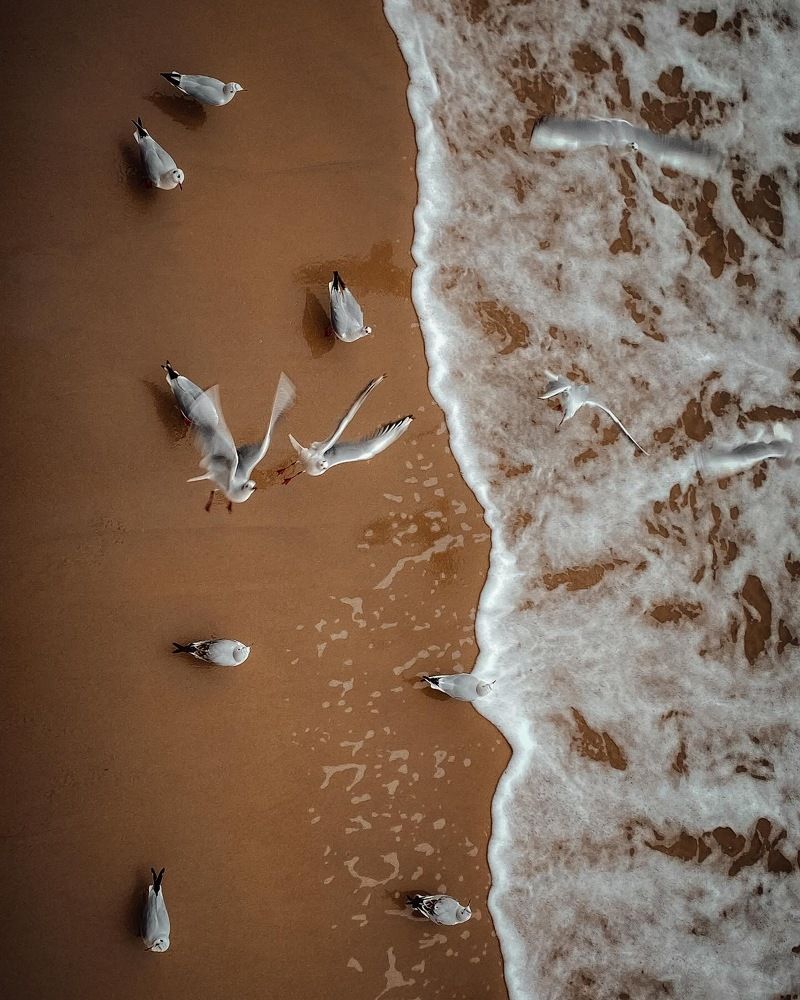 Photograph by Юлия Пыльцева