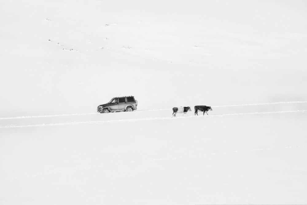 Photograph by Юлия Зубкова