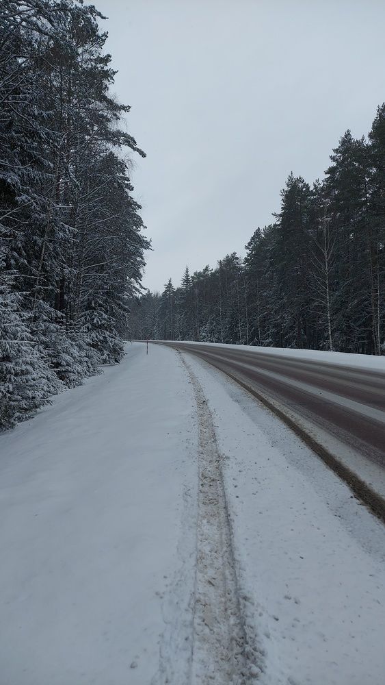 Photo #10115486