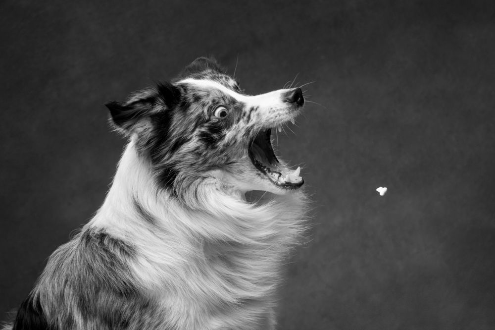 Photograph by Юлия Зубкова