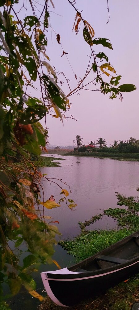 Beauty of Nature