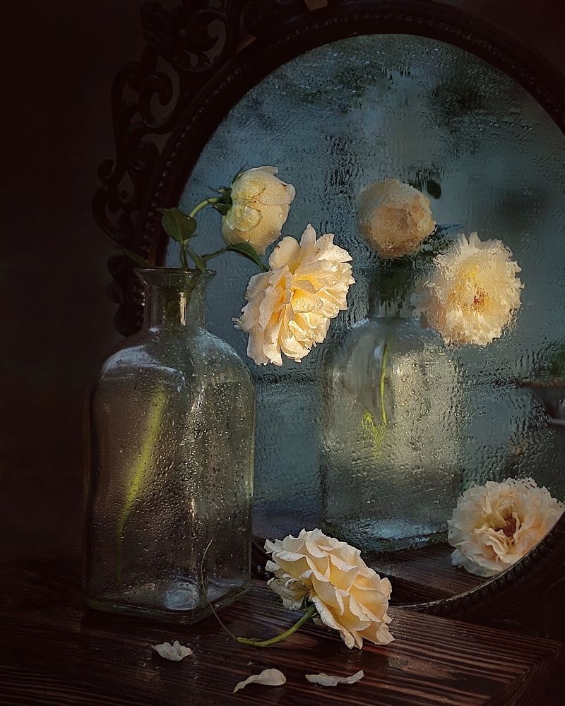 Фотография автора Инга Шевелёва