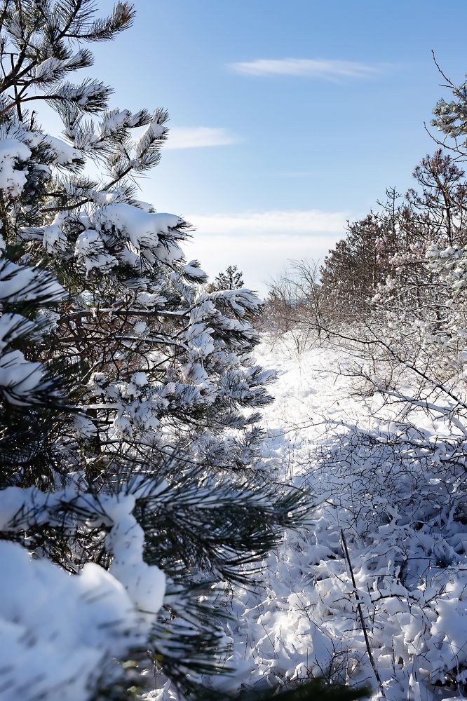 Photograph by Ольга Богданова