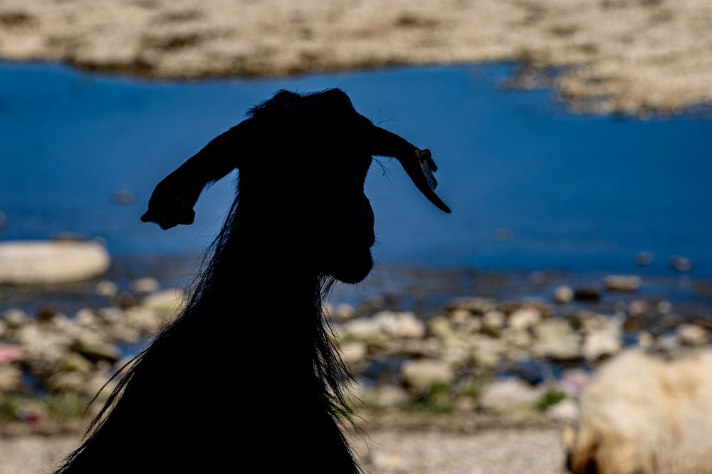 Photograph by Mustafa Şahin