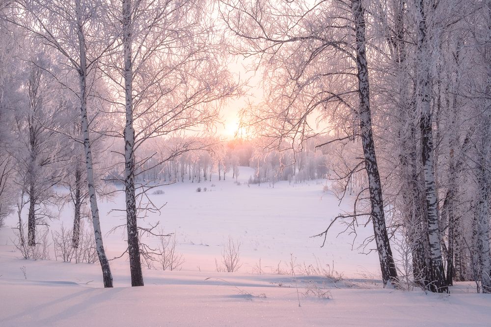 Photograph by Egor Baliasov