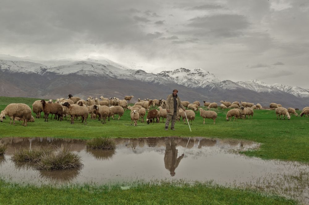 Photograph by Hussein A.