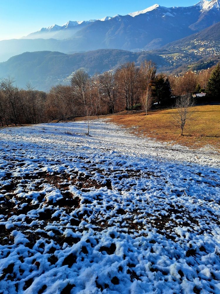 Photograph by Sonia Crotta