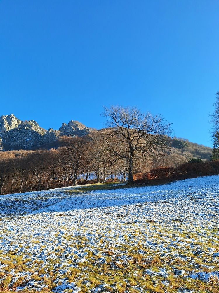 Photograph by Sonia Crotta