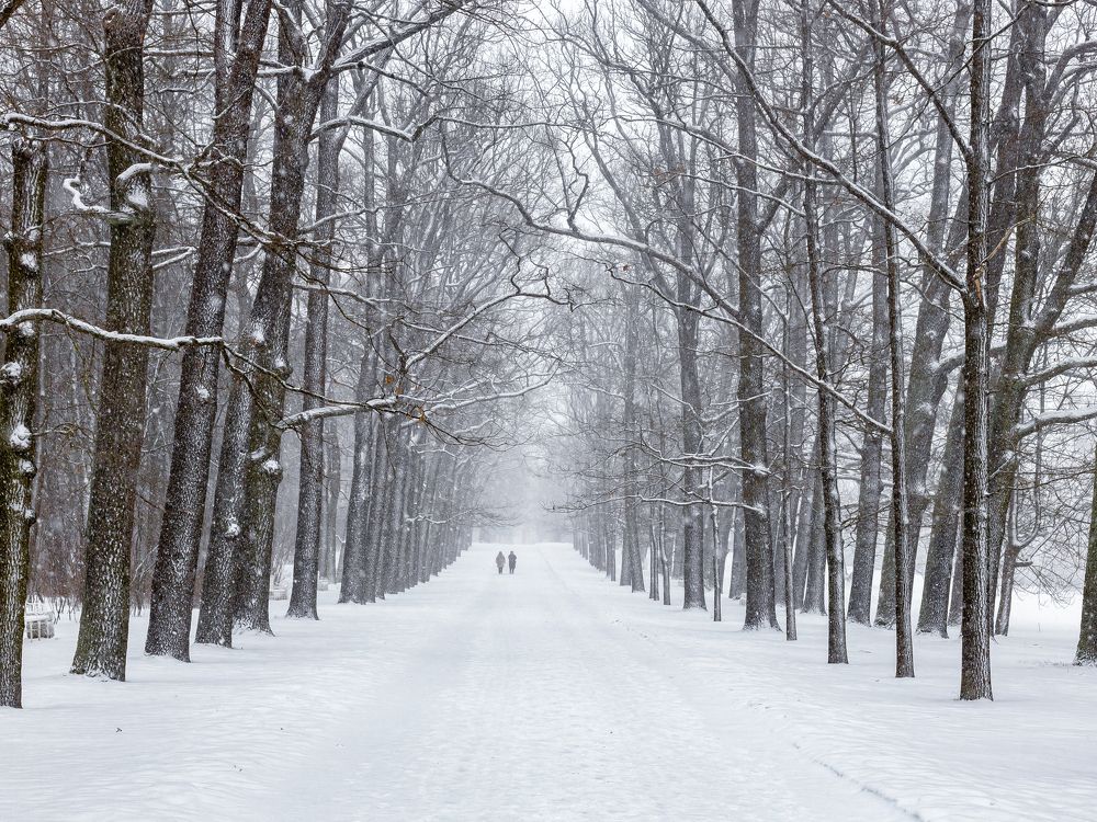 Фотография автора Евгений Чабанный