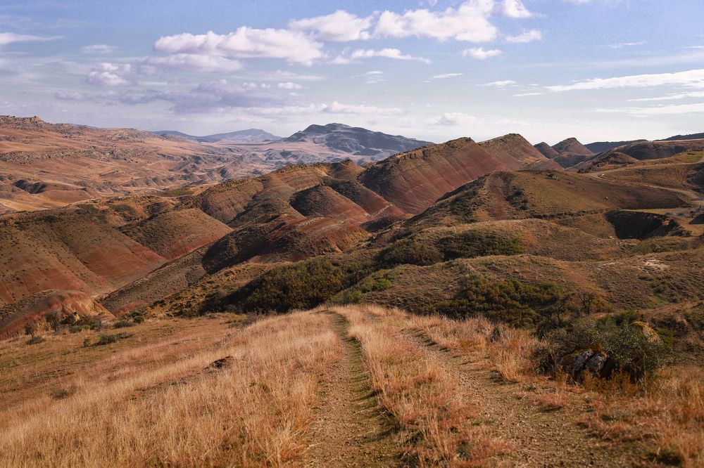 Photograph by Дарья Попова