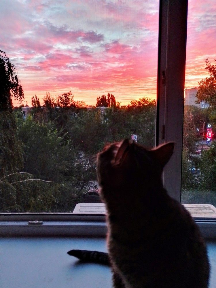 Photograph by Юлия Жулидова