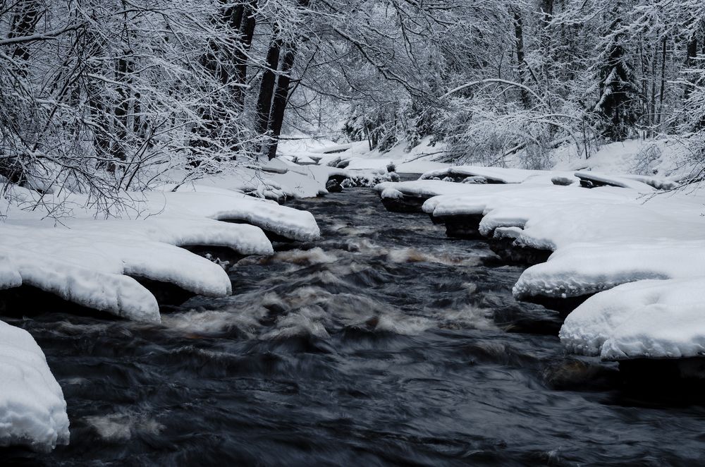 Photograph by Alexey S