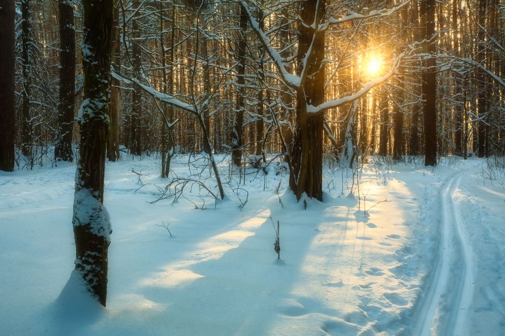 Photograph by Васенков Геннадий