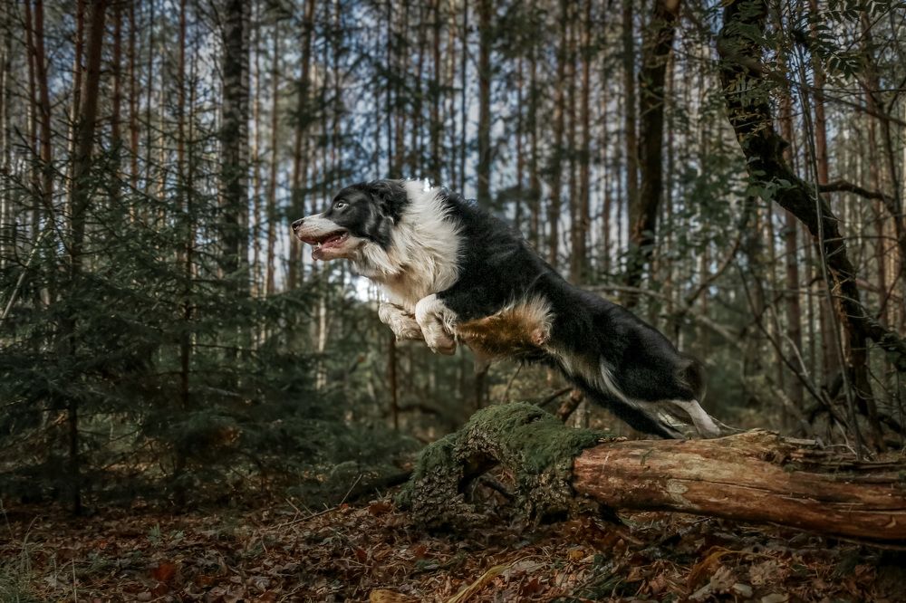 Photograph by Ксения