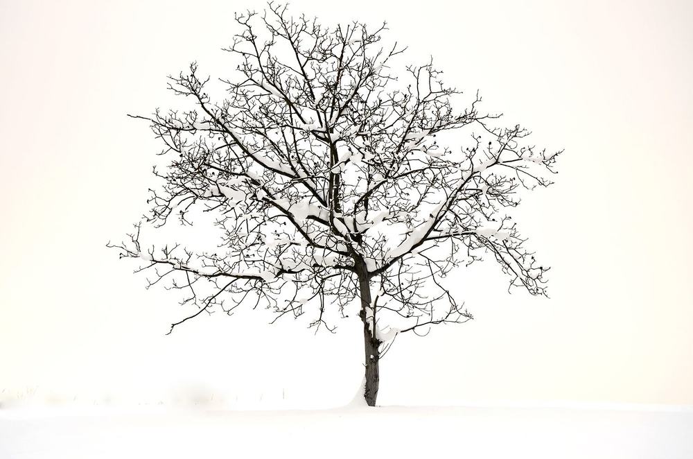 Photograph by Aleš Maučec