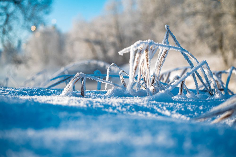 Фотография автора Сморчков Сергей