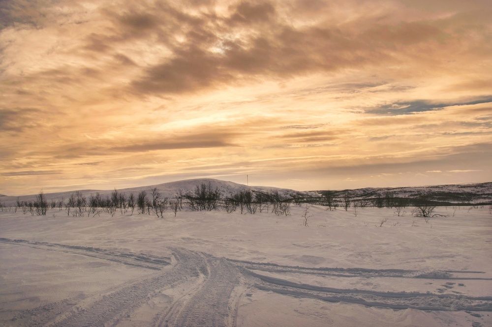 Photograph by Екатерина Сорока