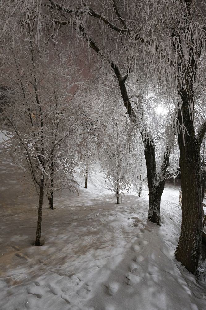 Фотография автора Александр Высоцкий