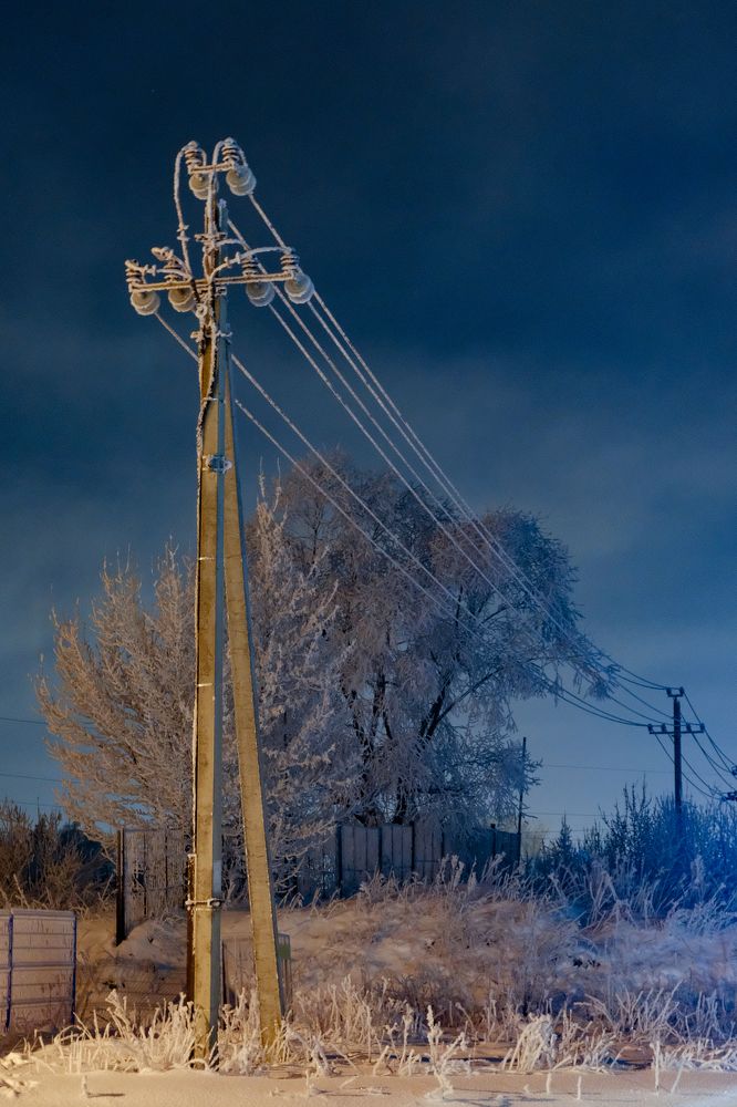 Фотография автора Александр Высоцкий