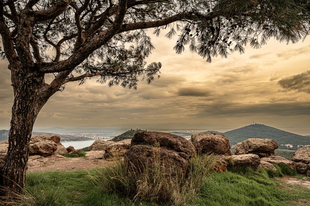 Photograph by Слави Котаров