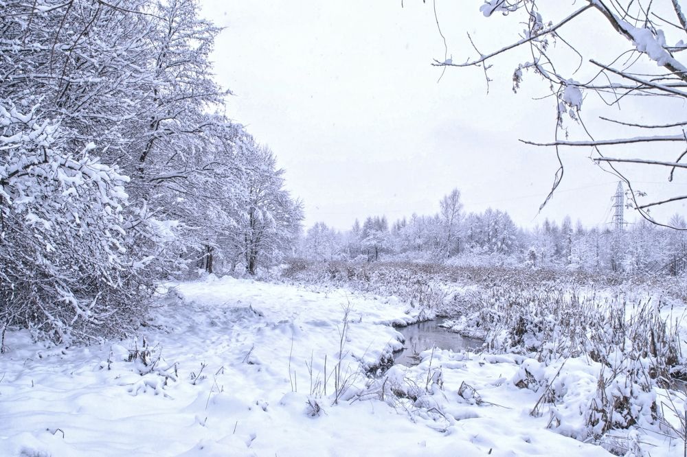 Фотография автора Юлия Кранина