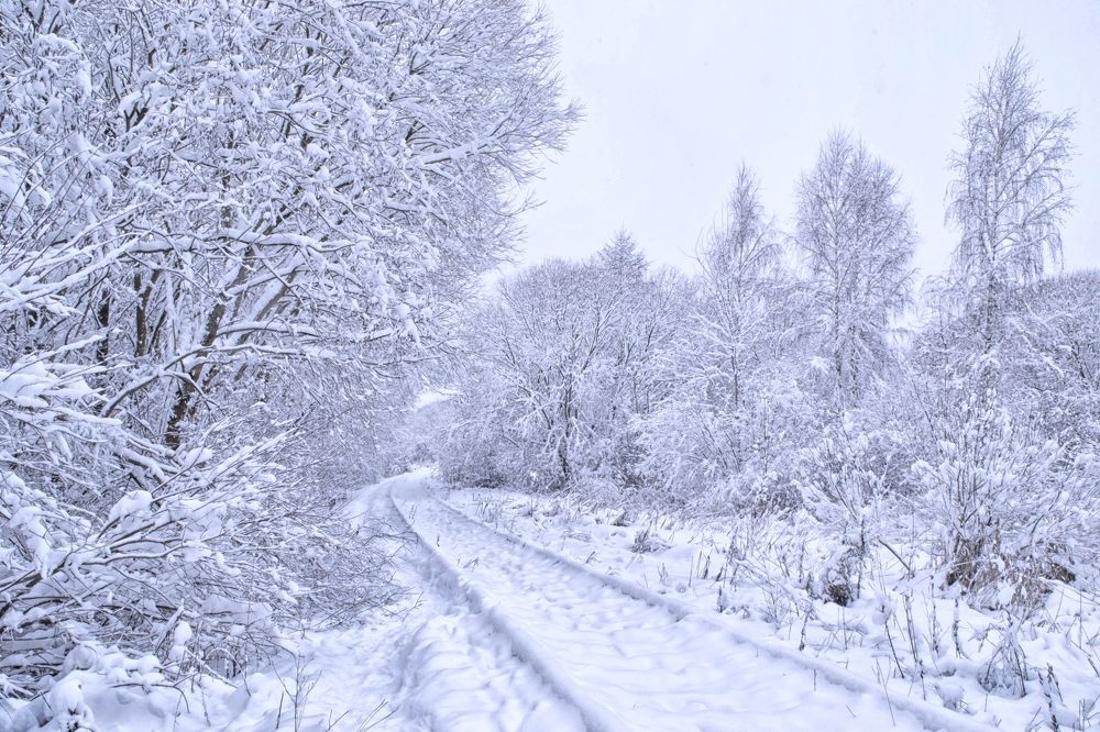 Фотография автора Юлия Кранина