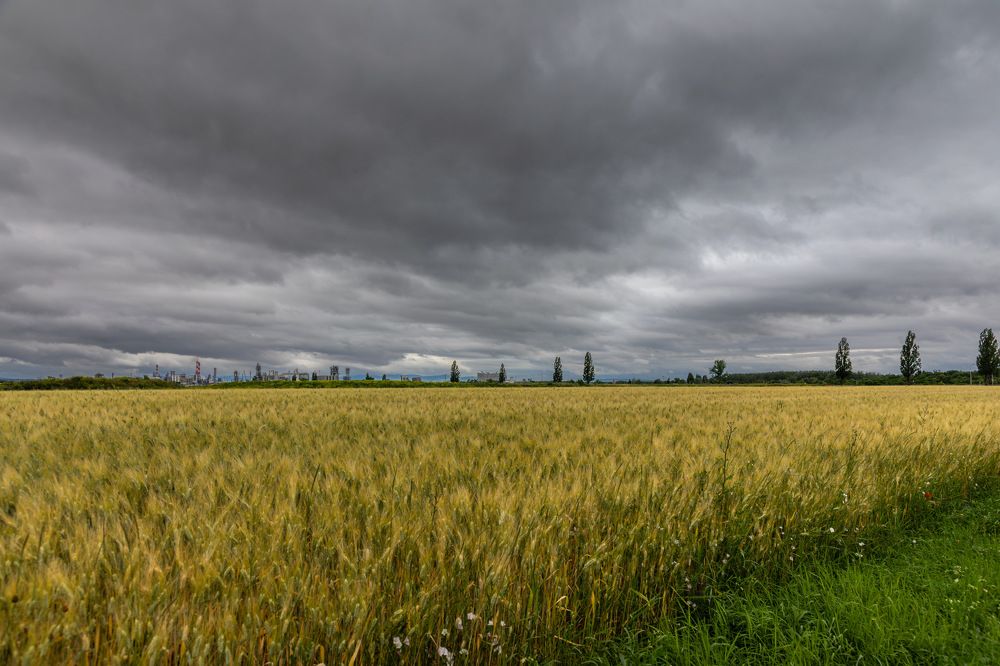 Фотография автора Safeen