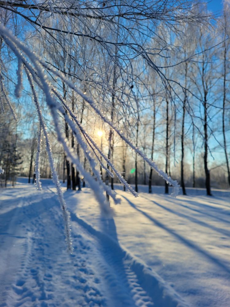 Фотография автора Татьяна Прашкевич