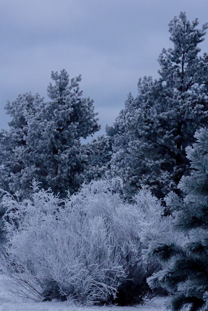 Photograph by Ирина Петракович