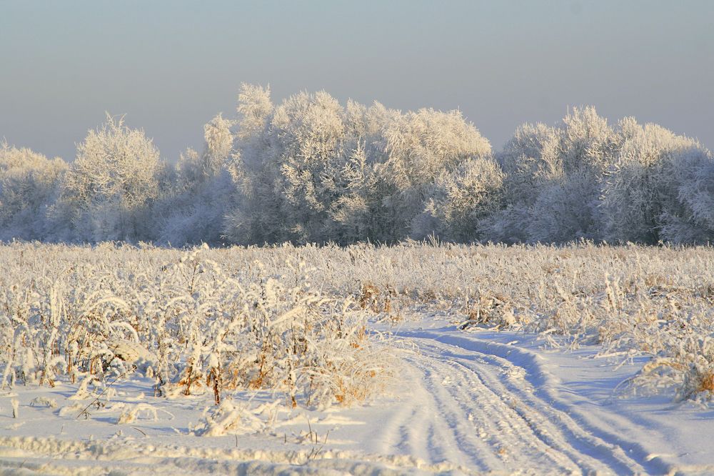 Photograph by Игорь Зиновьев